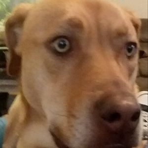 Meet your Posher, Ashlyn